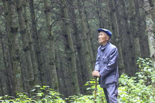 杨善洲充满深情地守望树林。