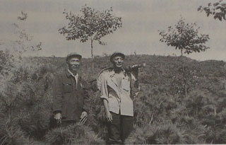 杨善洲(左)在大亮山植树间隙。